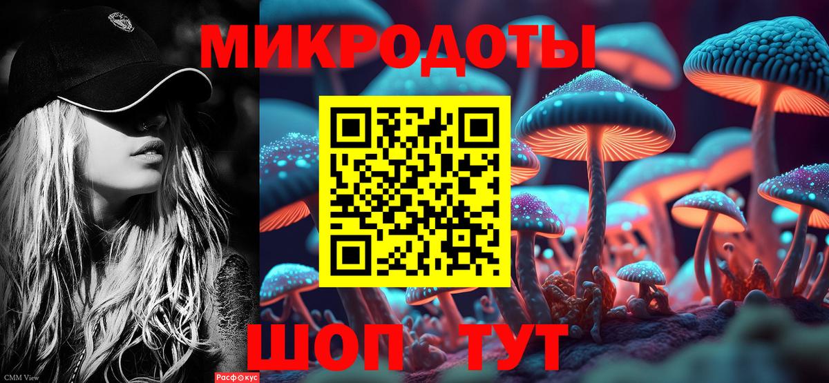 Галлюциногенные грибы прущие грибы Азнакаево